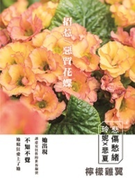 恶质宠爱